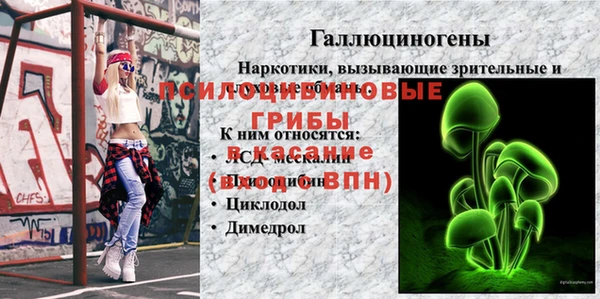 молекула духа Балабаново