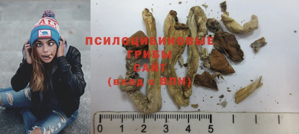 винт Армянск