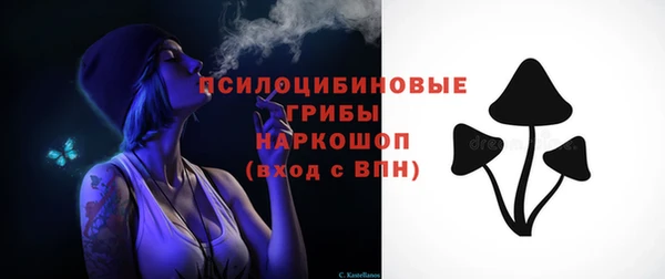 винт Армянск