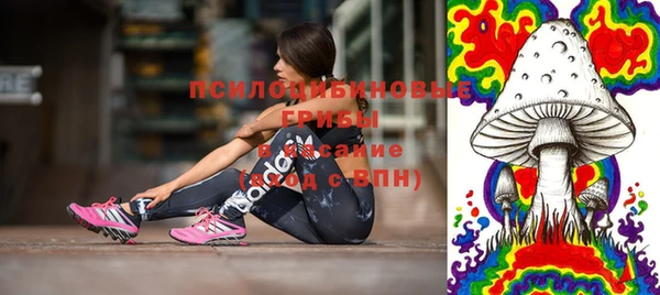 дживик Аркадак